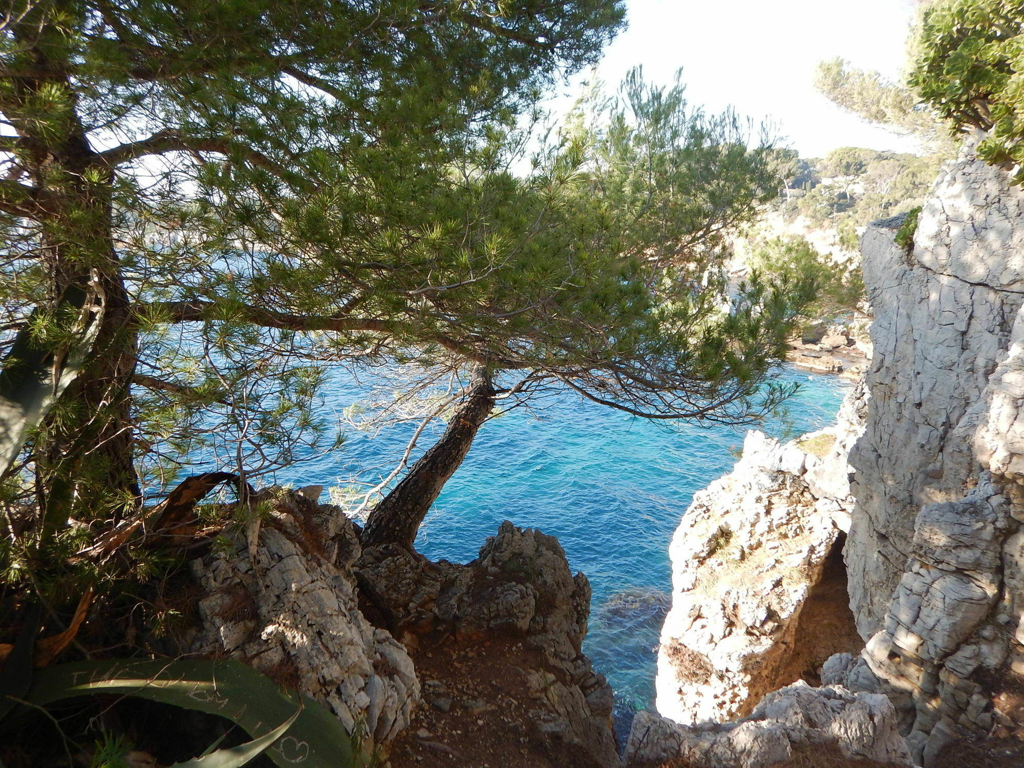 Hotel Miramar- Cap D'Antibes - La Garoupe Plage Eksteriør billede